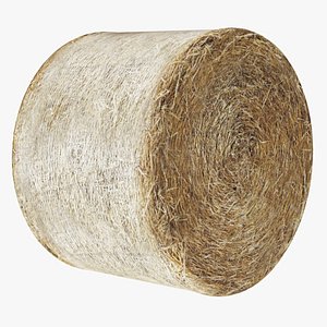 3D Straw Bale model