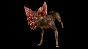 Vampire cat