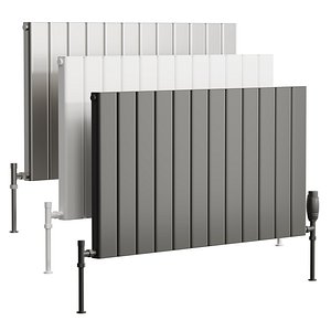 Reina Vicari Designer Radiator 3D model