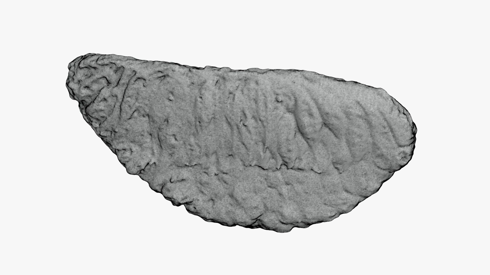 3D Peeled Pomelo 02 for 3D Print model https://p.turbosquid.com/ts-thumb/08/WzHe5V/v1/peeledpomelo2_g0001/jpg/1743188621/1920x1080/fit_q87/c925097bc3c536fa2a664edd1560731d1c856b2b/peeledpomelo2_g0001.jpg