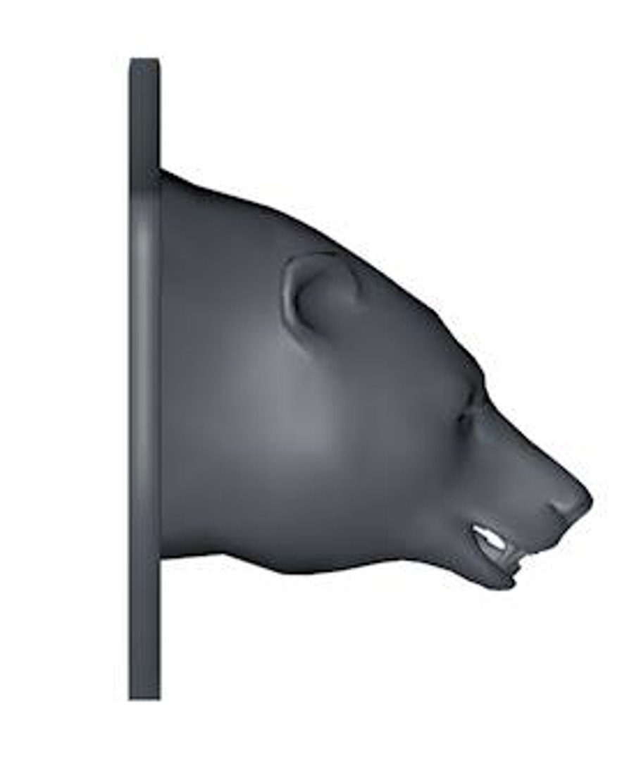 mounted bear head 3d model