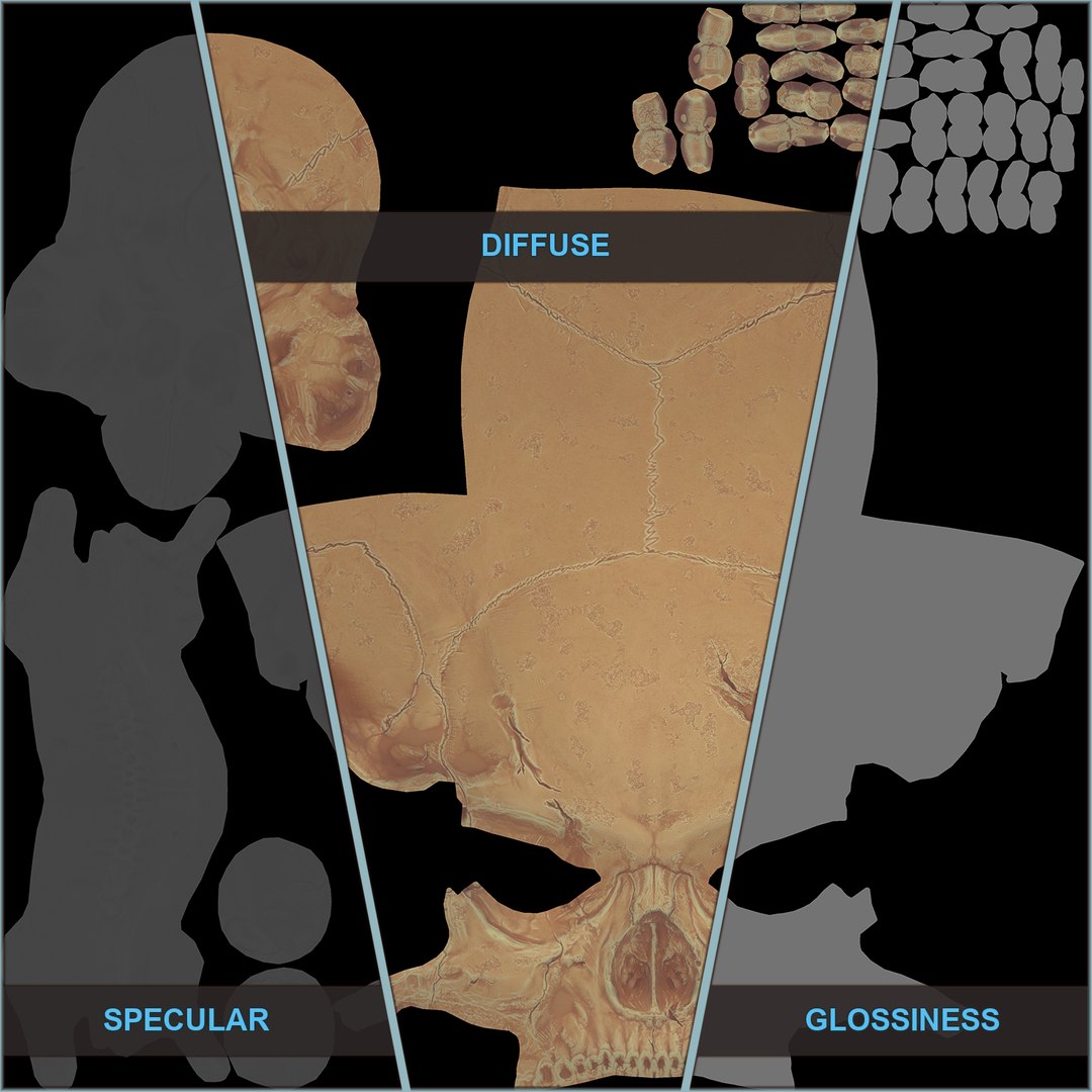 3D cartoon skull https://p.turbosquid.com/ts-thumb/08/aOMgUX/nK1cvIz6/skull_cartoonish_03/png/1550686668/1920x1080/fit_q87/fbe7a935615c3d24e43b3894245ed5a83dc90863/skull_cartoonish_03.jpg