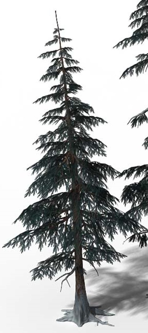 3D Tree Big - TurboSquid 1224290