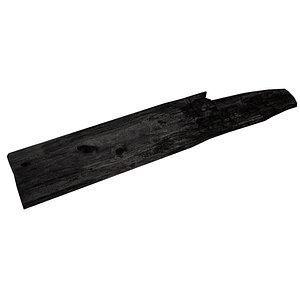 3D burnt wood model