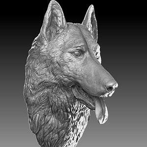 3D model german shepherd head