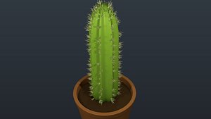 Decorative Ornamental Pot Plant
