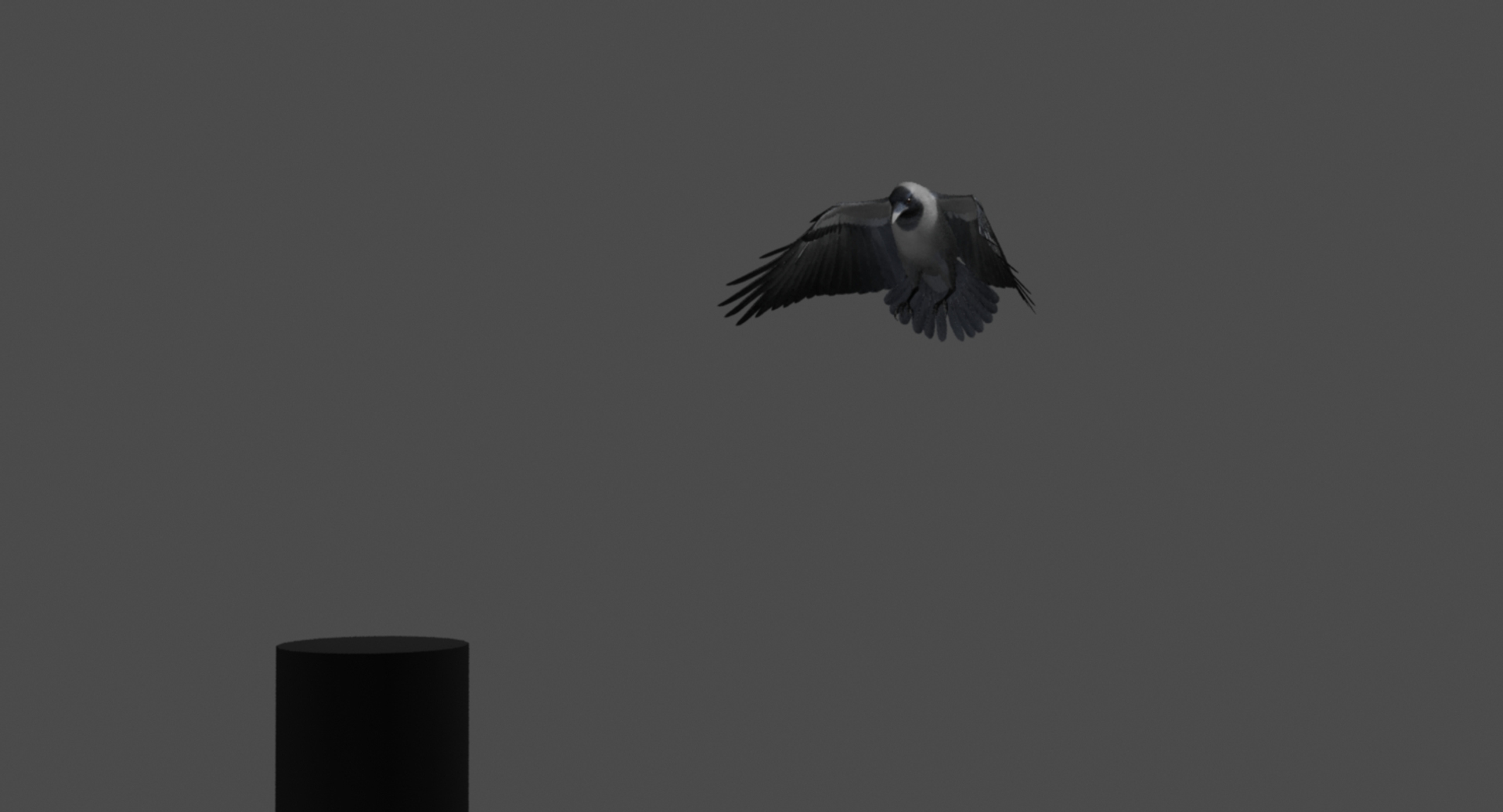 3d model house crow animation flying https://p.turbosquid.com/ts-thumb/08/xSne4P/0O1sVZgc/house_crow_animation_landing/jpg/1489857234/1920x1080/turn_fit_q99/2702c3fa43f2082f7fd124a8279c125c085bf67e/house_crow_animation_landing-1.jpg