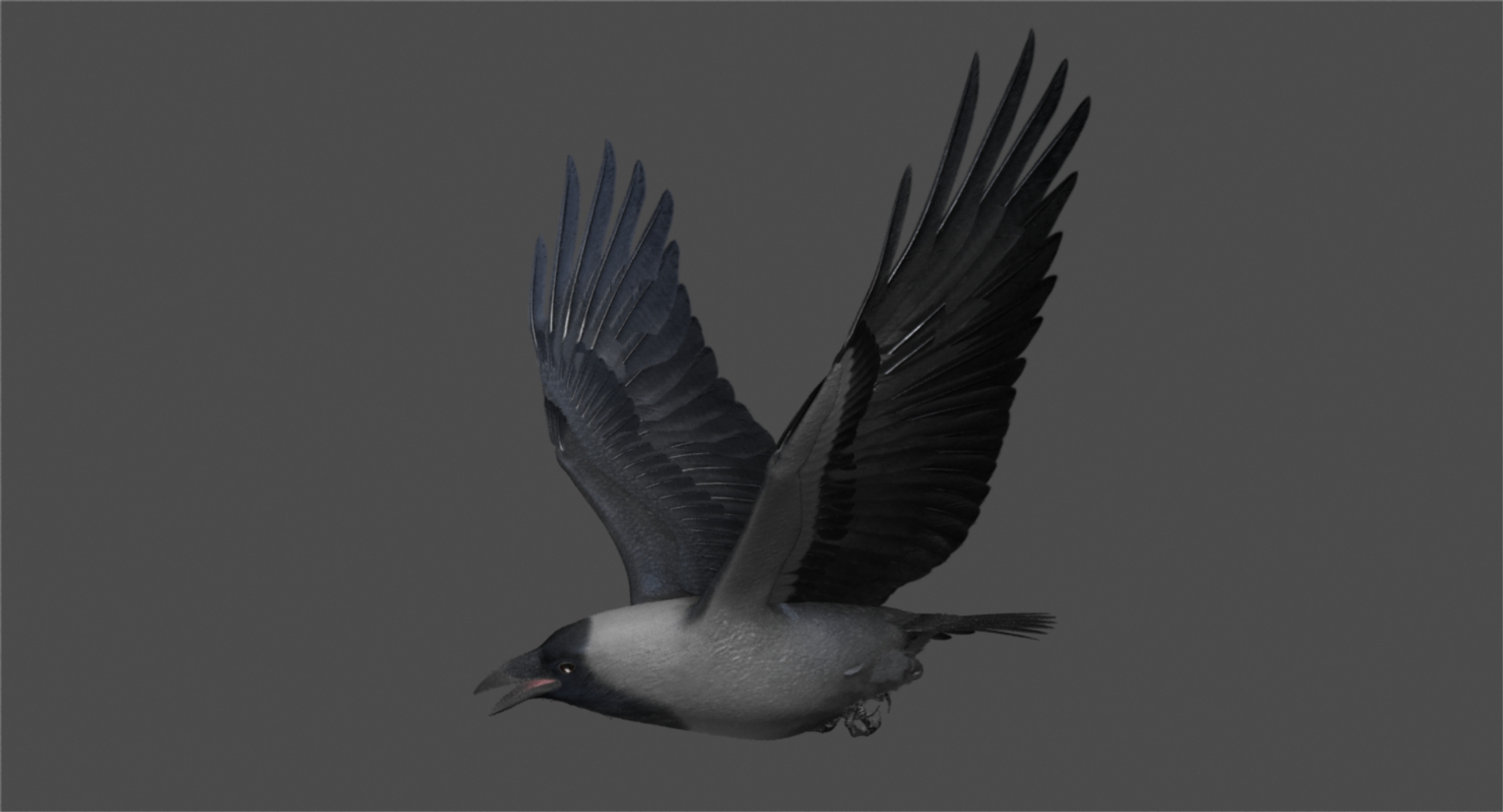 3d model house crow animation flying https://p.turbosquid.com/ts-thumb/08/xSne4P/EPai4Leh/house_crow_rot/jpg/1489861227/1920x1080/turn_fit_q99/1be1b29ec1a2a55fefadadc62c029f1d6a07a837/house_crow_rot-1.jpg
