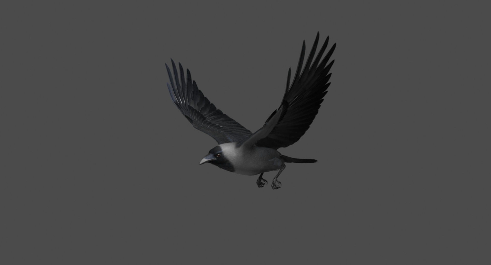 3d model house crow animation flying https://p.turbosquid.com/ts-thumb/08/xSne4P/Gt8O5PIj/house_crow_animation_fly2/jpg/1489857310/1920x1080/turn_fit_q99/45012ef03160a58347133dcaad4e3a02ecd160ce/house_crow_animation_fly2-1.jpg