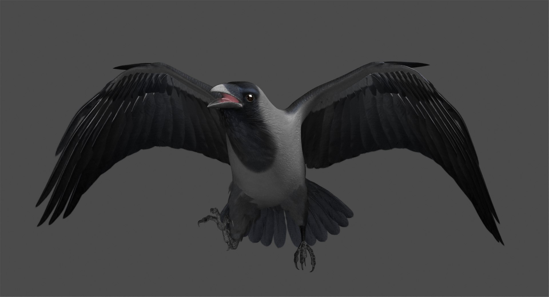 3d model house crow animation flying