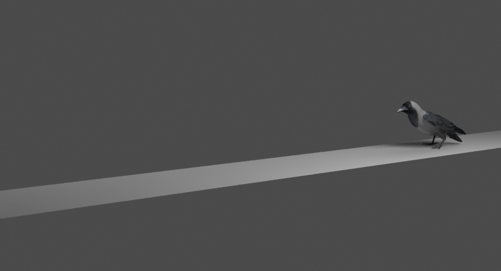 3d model house crow animation flying https://p.turbosquid.com/ts-thumb/08/xSne4P/rvrL1FX0/house_crow_animation_jumps/jpg/1489857261/1920x1080/turn_fit_q99/288809d8d6adb26776a7230a6d927876dc191439/house_crow_animation_jumps-1.jpg