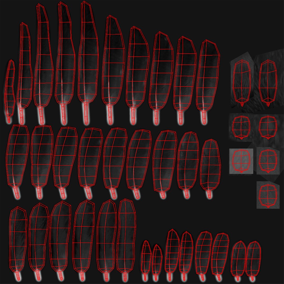 3d model house crow animation flying https://p.turbosquid.com/ts-thumb/08/xSne4P/w2uLpMdB/feathers_uv/jpg/1489857368/1920x1080/fit_q87/450008832cd3d2a736999f84fce915d362e2fdbe/feathers_uv.jpg