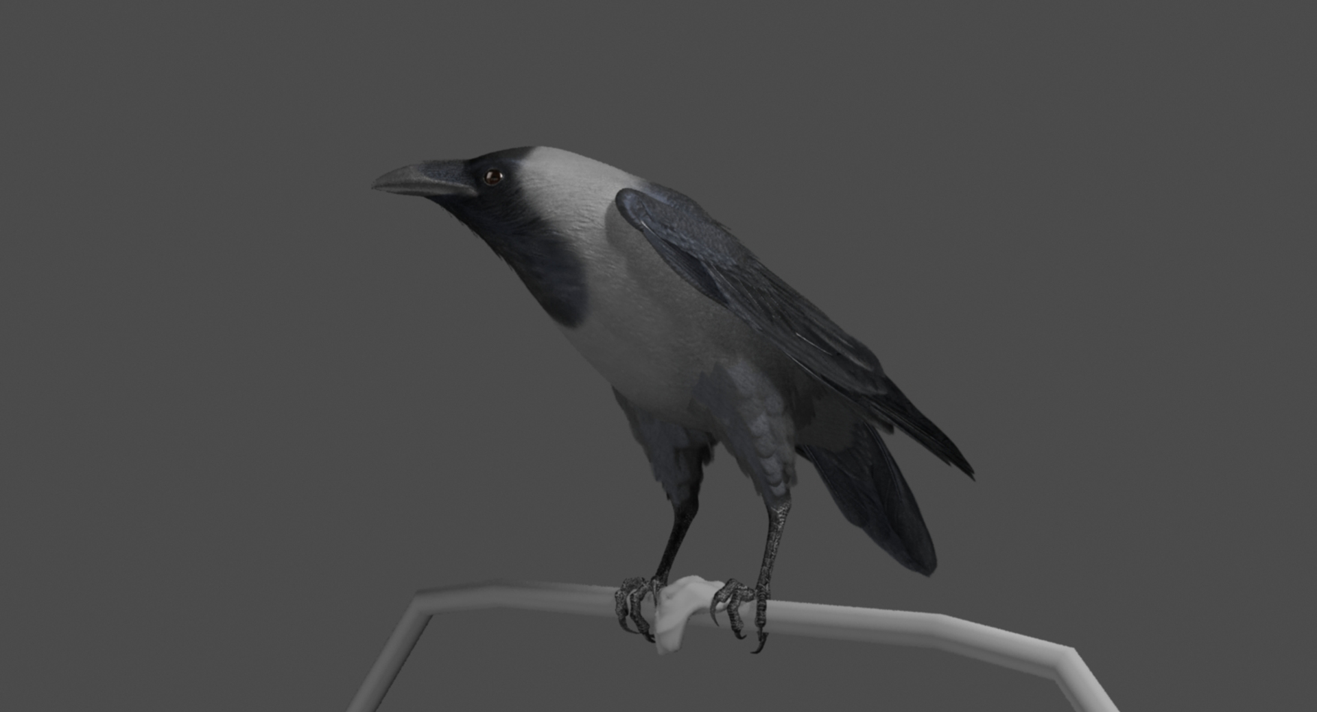 3d model house crow animation flying https://p.turbosquid.com/ts-thumb/08/xSne4P/yA96uJne/house_crow_animation_eating/jpg/1489857380/1920x1080/turn_fit_q99/3e9ef3ad7435d05ae09eb218fc8a26a255edc02d/house_crow_animation_eating-1.jpg