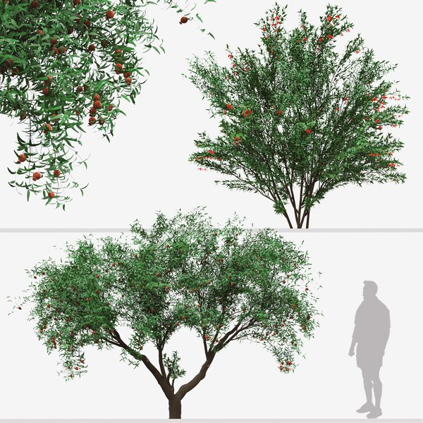 Деревья - 3D модели