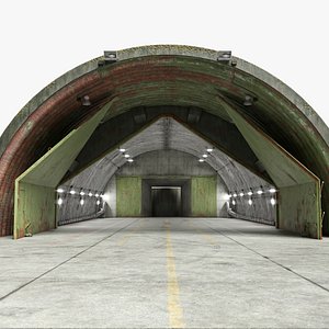 3D Abandoned Aircraft Shelter Open model