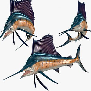 SWORDFISH SEA FISH OCEAN