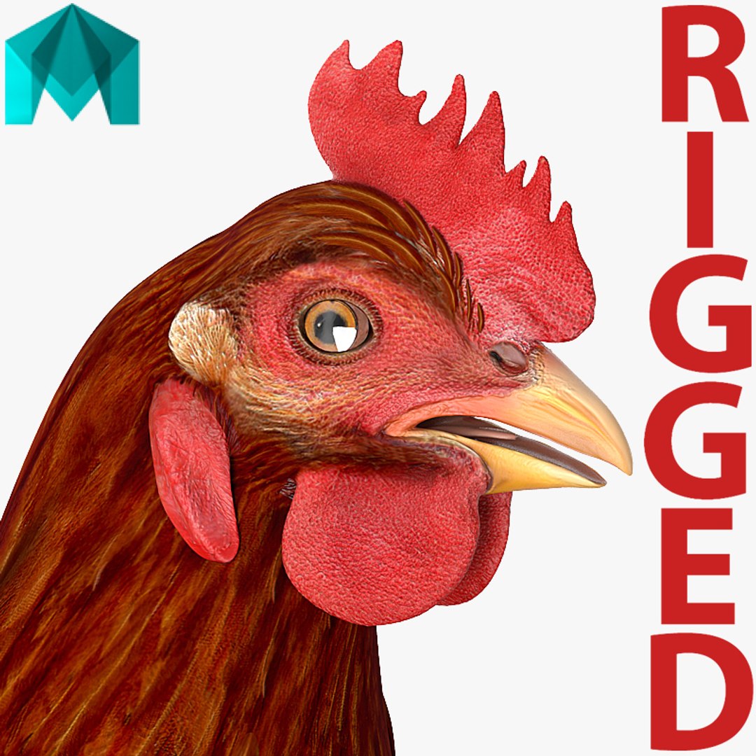 Brown Chicken Rigged for Maya 3D model preview