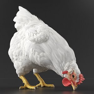 3D model Chicken Pecking Ground Animated Rigged for Maya