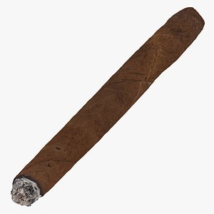 Cigar Long Burned 01 RAW Scan model