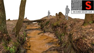 Forest stream, river