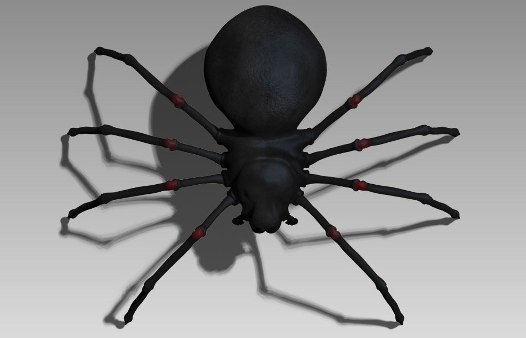 Black Spider 3d Model - Turbosquid 1475502