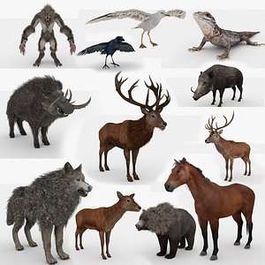 3D model Animals Collection