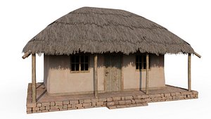 Thatch Hut