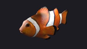 3D Clownfish Anemonefish Ocellaris fish aquarium tropical sea coral