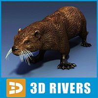 Sea otter 02 by 3DRivers