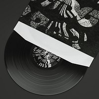 Record Vinyl