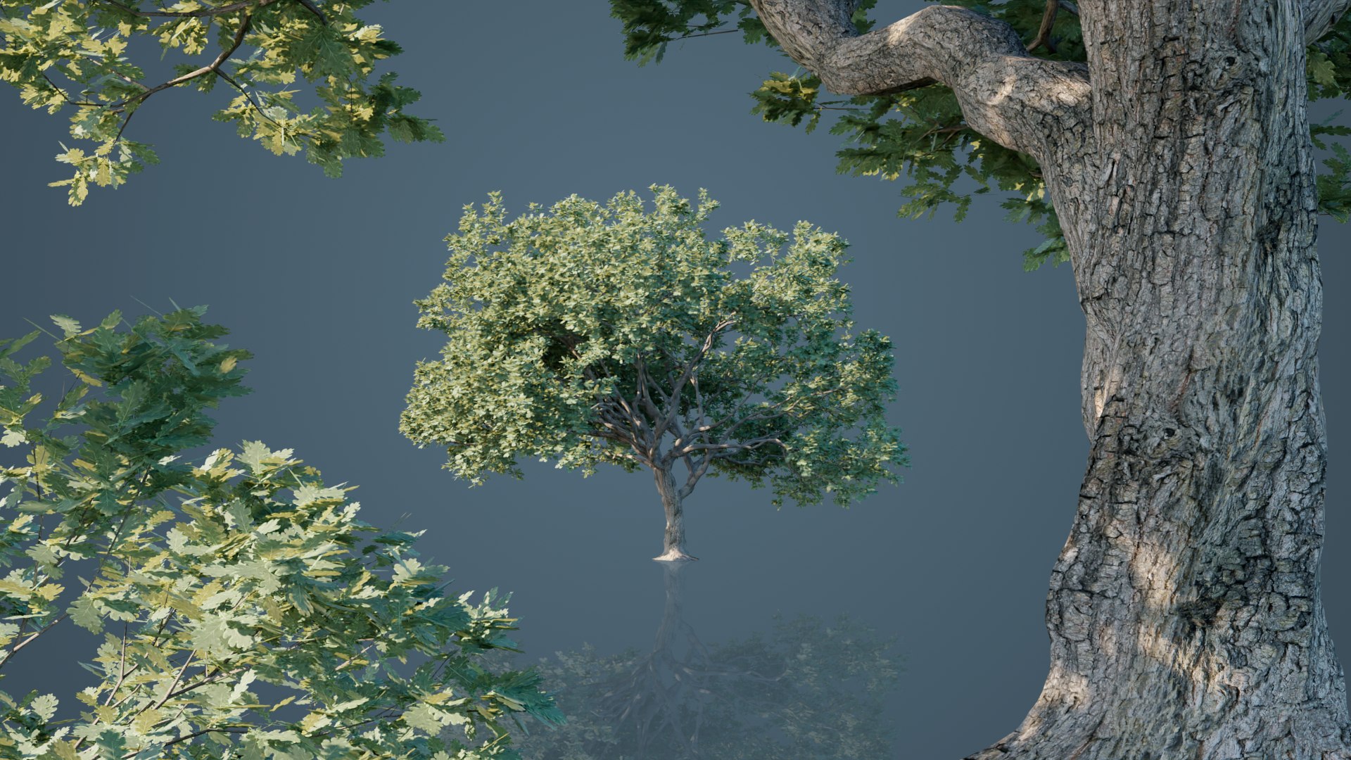 White Oak Trees 3D model https://p.turbosquid.com/ts-thumb/0A/BzKpZV/Ii/4/png/1631296797/1920x1080/fit_q87/467510531179475ca8e13eed92f8e78117df4429/4.jpg