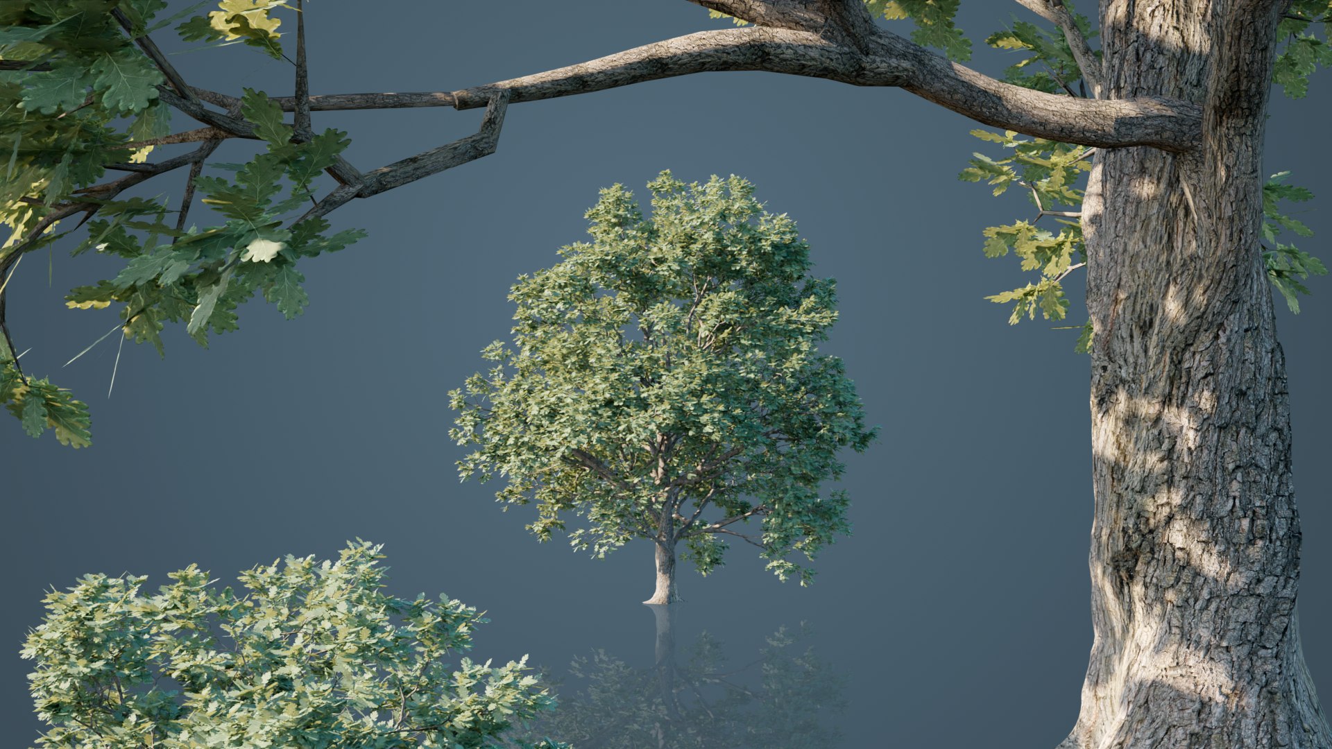 White Oak Trees 3D model https://p.turbosquid.com/ts-thumb/0A/BzKpZV/e6/5/png/1631296787/1920x1080/fit_q87/5b714c99a276fafea1869d81e25633403f766c98/5.jpg