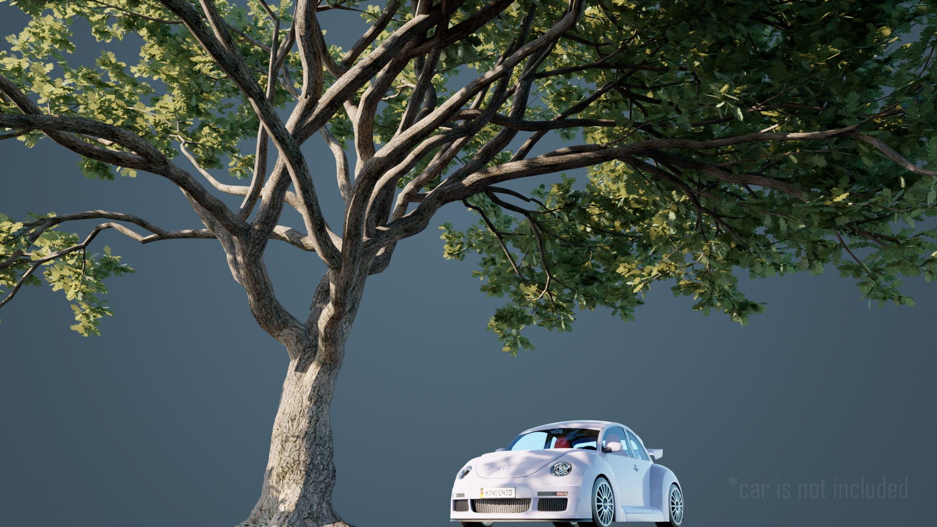 White Oak Trees 3D model https://p.turbosquid.com/ts-thumb/0A/BzKpZV/jH/3/png/1631296786/1920x1080/fit_q87/8656006120494497ac3a0ba2ddf26eec3ad0010f/3.jpg