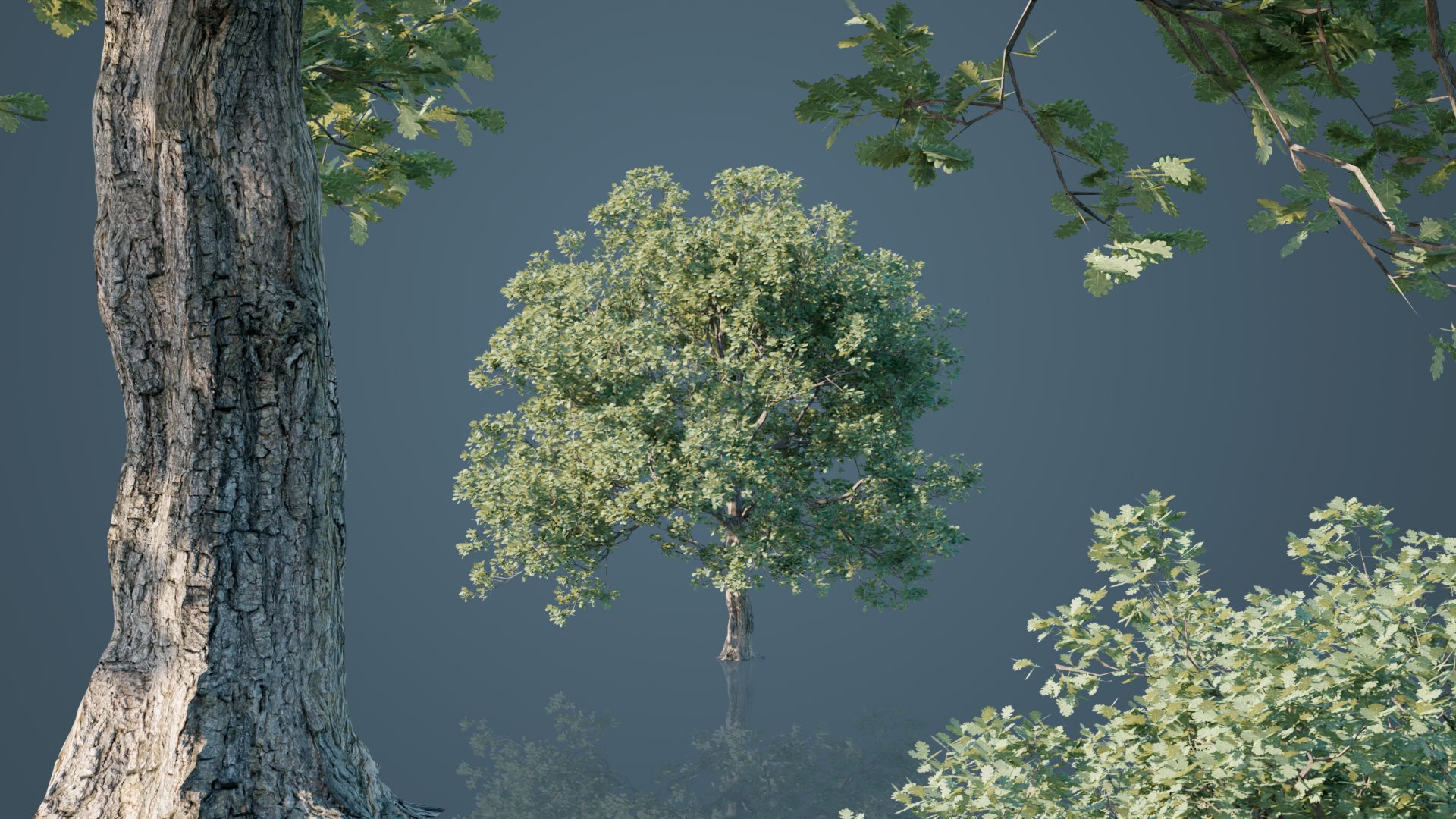 White Oak Trees 3D model https://p.turbosquid.com/ts-thumb/0A/BzKpZV/xD/6/png/1631296790/1920x1080/fit_q87/49e0c2453dd75db2f9df2055dde6169c6f01bc29/6.jpg