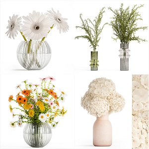 3D Set of bouquets Hydrangea Gerbera Chamomile 425 model