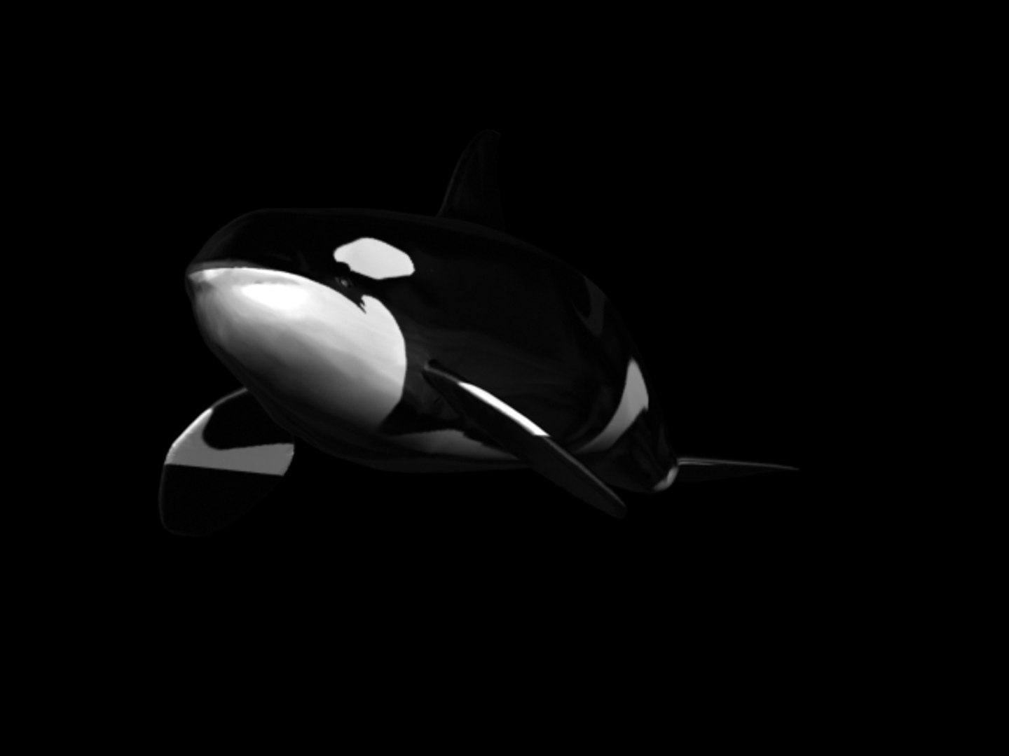 3d model orca whale https://p.turbosquid.com/ts-thumb/0A/JqOQsw/F34ogzvv/kw2/jpg/1145032109/1920x1080/fit_q87/ea247879a91b721e2a16493a0f3eef3a00543039/kw2.jpg