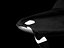 Orca or Killer whale