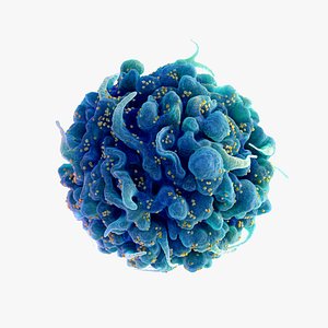 HIV Cell