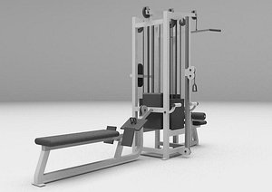 combo pulley station