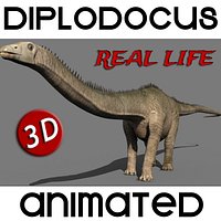 Real Life Diplodocus Dinosaur - Animated