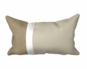 3D Pillow 01