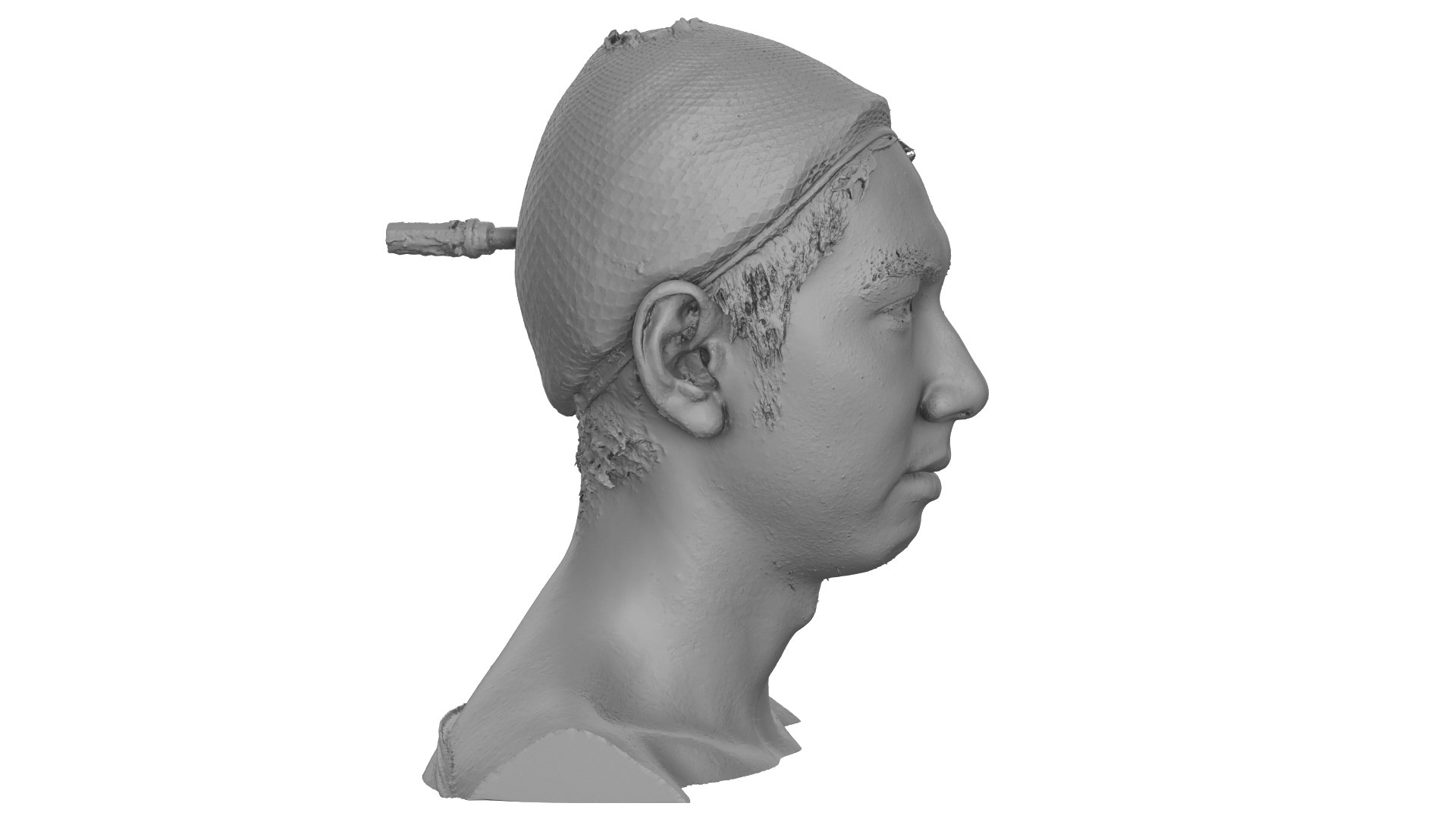 Raw Head scan Kashiwagi Kenkichi 3D https://p.turbosquid.com/ts-thumb/0A/Xqxi5c/n3/06/jpg/1661600531/1920x1080/fit_q87/b02c71e0e59dc7b087e3caff430f1d482e2bc9bd/06.jpg