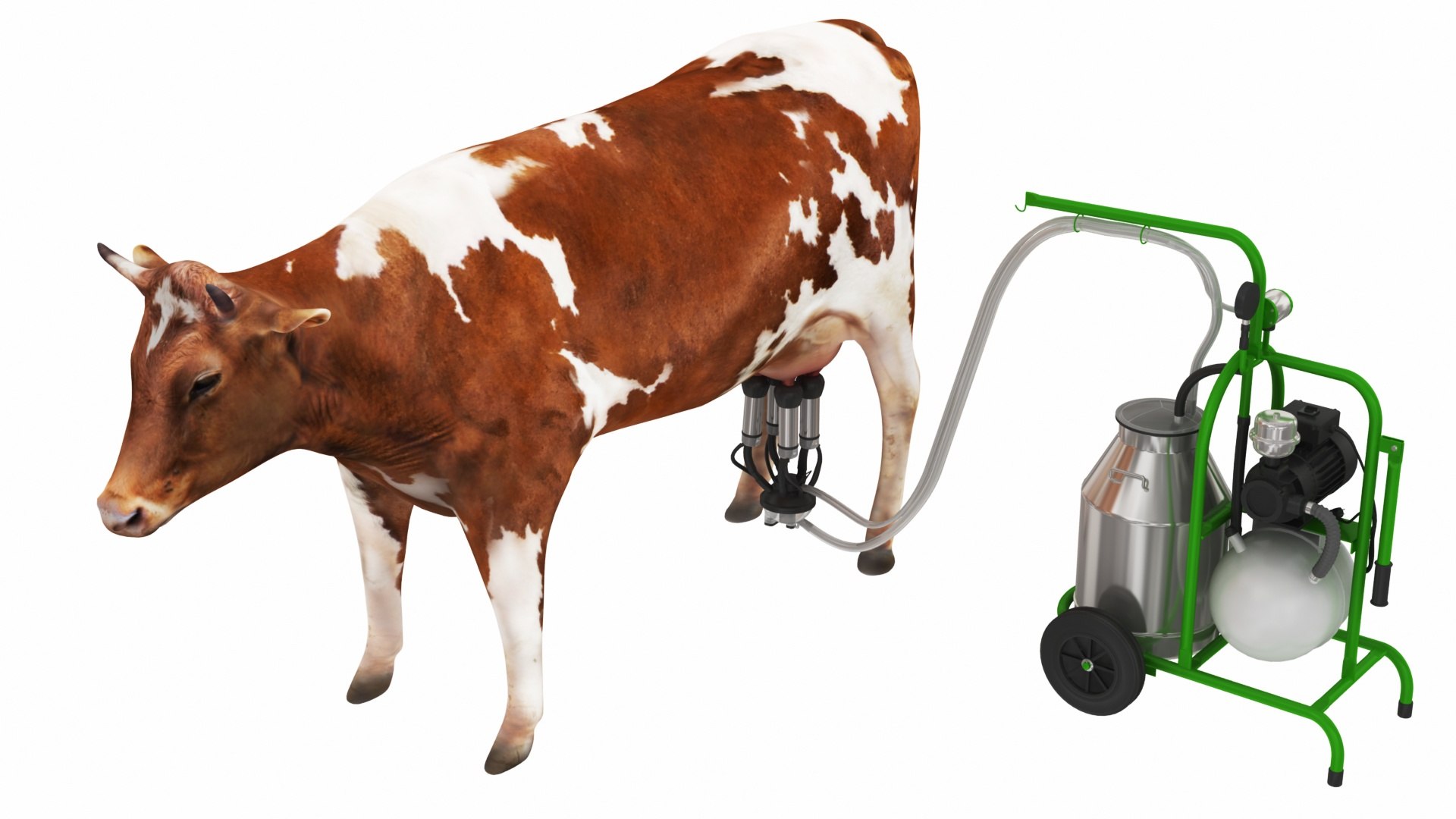 3D Portable Milking Machine 1 with Cow model https://p.turbosquid.com/ts-thumb/0A/nE6MRY/ld/portablemilkingmachine1withcow2/jpg/1692132743/1920x1080/fit_q87/dd169a059fb1b83cc3cfafed28657cd6dc735ded/portablemilkingmachine1withcow2.jpg