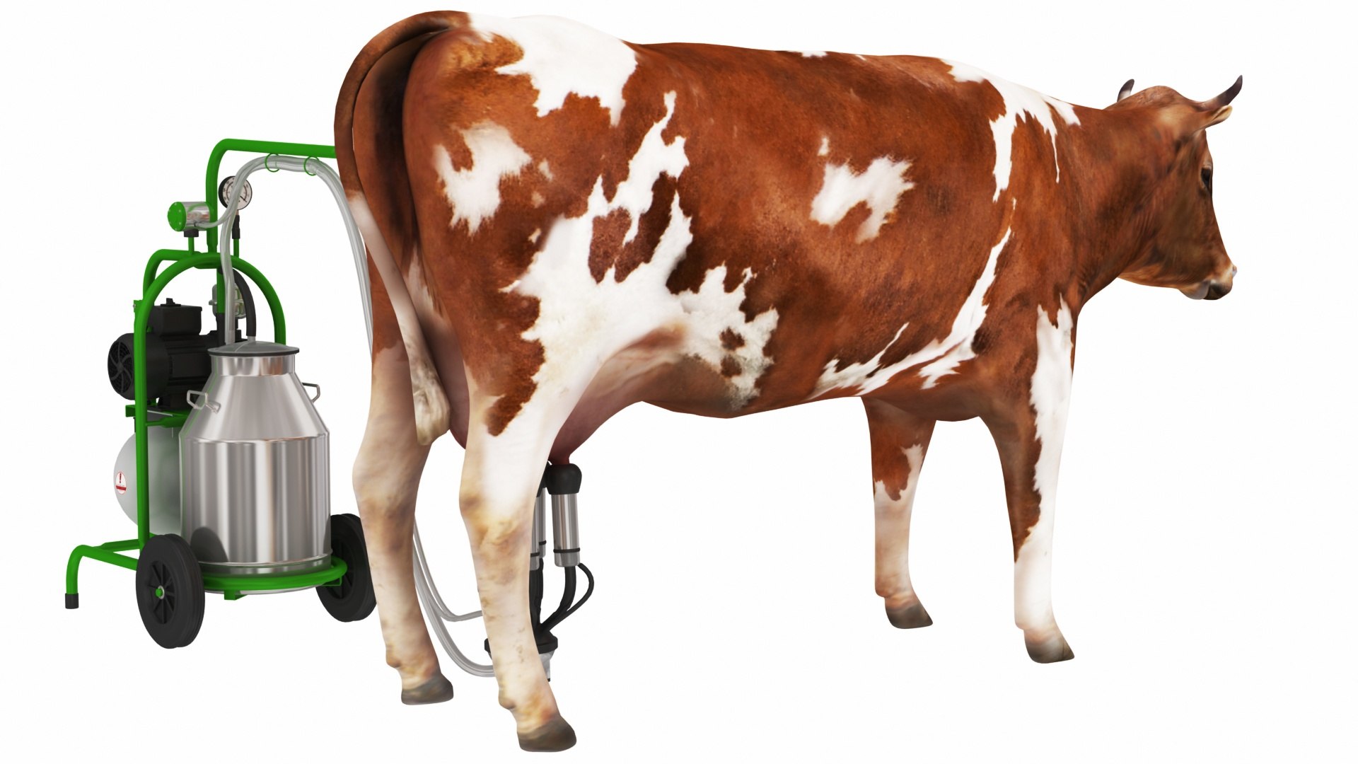 3D Portable Milking Machine 1 with Cow model https://p.turbosquid.com/ts-thumb/0A/nE6MRY/qf/portablemilkingmachine1withcow4/jpg/1692132731/1920x1080/fit_q87/e1da2b6732e60884a3240723c68d329dd0cc71eb/portablemilkingmachine1withcow4.jpg