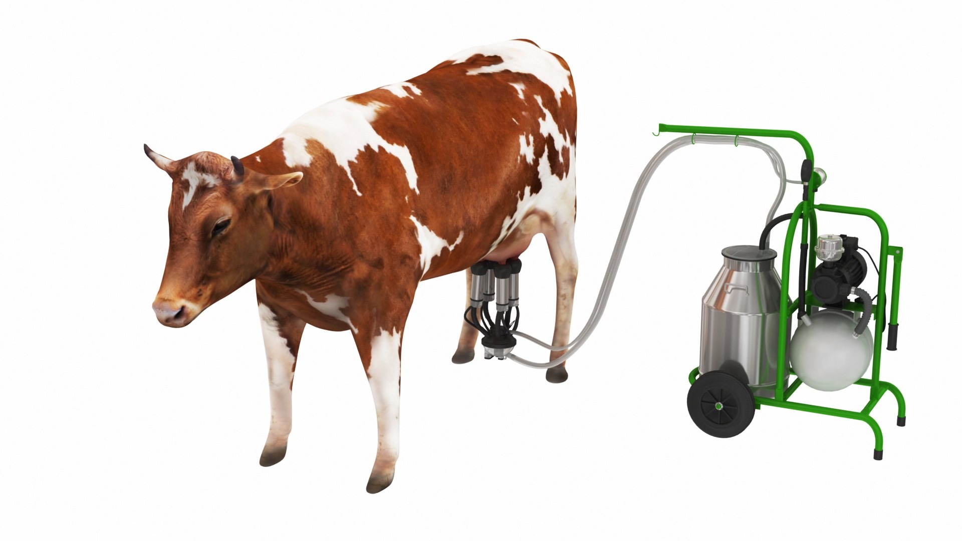 3D Portable Milking Machine 1 with Cow model https://p.turbosquid.com/ts-thumb/0A/nE6MRY/ry/portablemilkingmachine1withcow6/jpg/1692132729/1920x1080/fit_q87/d0fea53baee5934e623f85de314162e281e8f54d/portablemilkingmachine1withcow6.jpg
