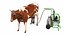 Portable Milking Machine 1 with Cow