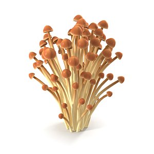 3D model Brown Enoki mushrooms