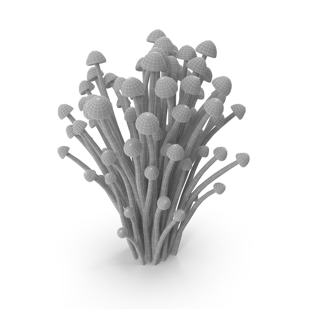 3D model Brown Enoki mushrooms https://p.turbosquid.com/ts-thumb/0A/r18Mwo/c3/wire/jpg/1713943846/1920x1080/fit_q87/8ea32bb3baf2eccf6c5d0fc513a413a377d69c2d/wire.jpg