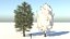 Temporada Carolina Poplar Tree