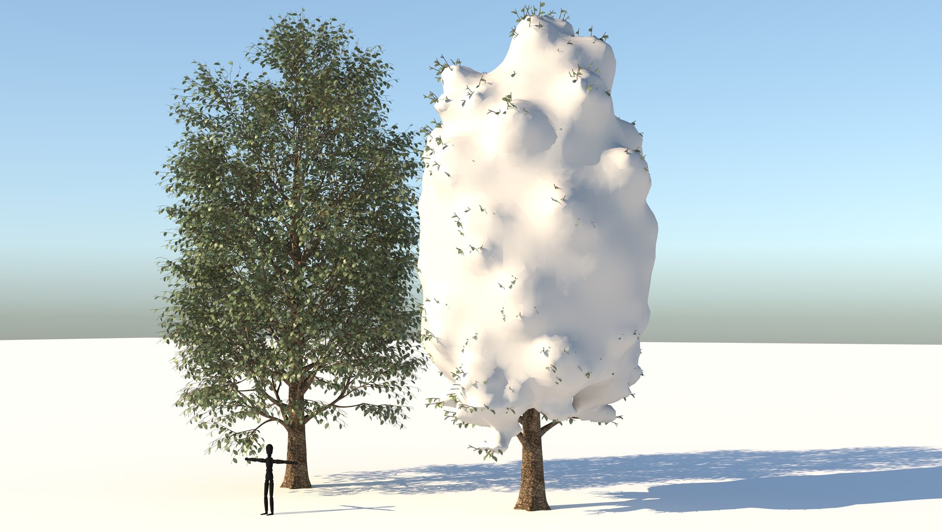 3D season carolina poplar tree https://p.turbosquid.com/ts-thumb/0B/4AIZ0l/8DH7HfJs/2/jpg/1609939690/1920x1080/fit_q87/64929935ae0ea0adfef34c19f9885e15edc44ef1/2.jpg